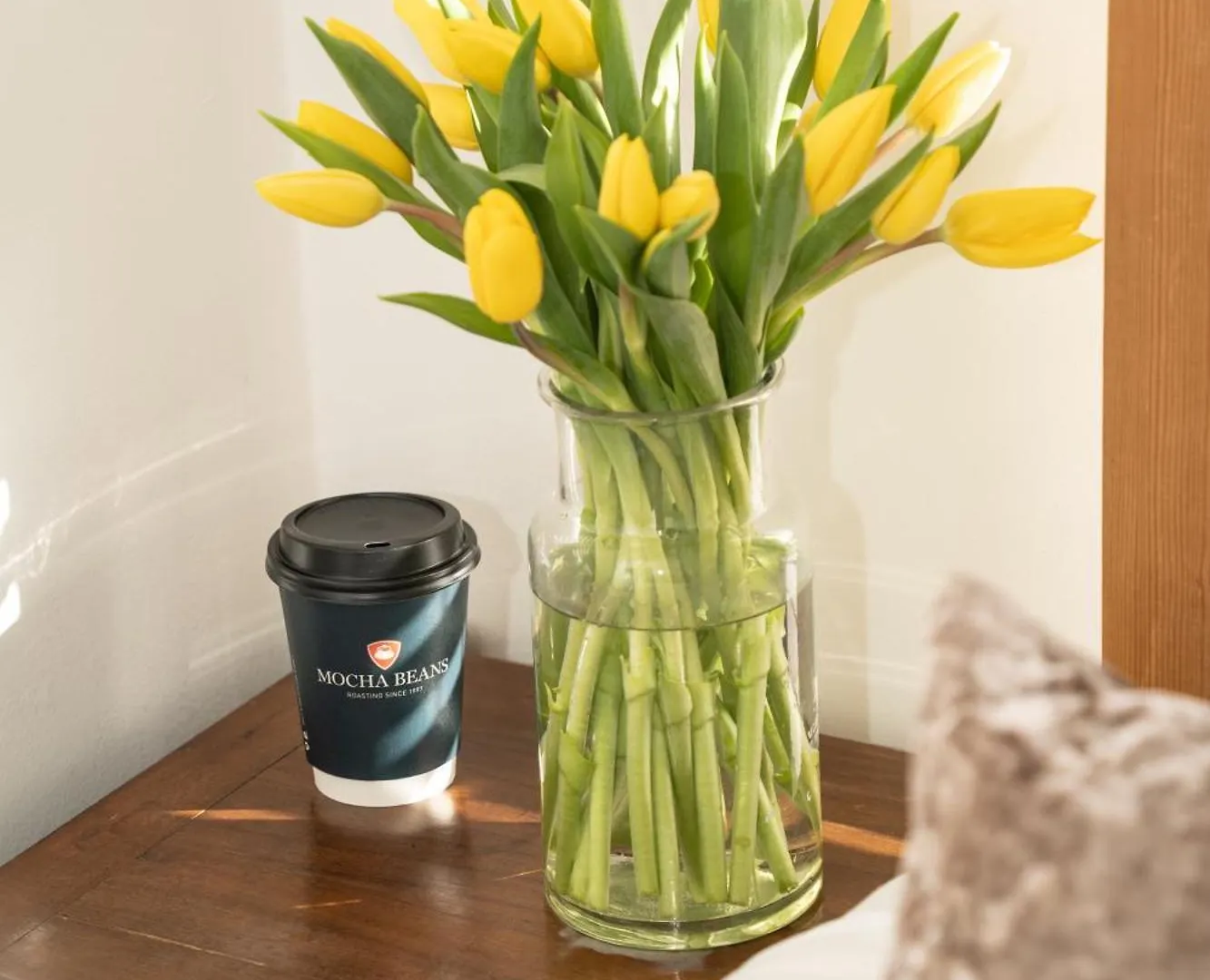 Mocha Newcastle Bed & Breakfast Galway